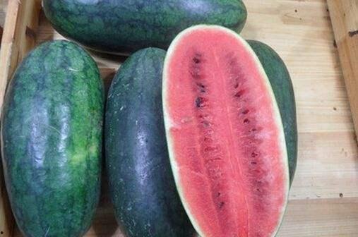 黑料吃黑瓜网多少,揭秘网络黑料的生成与传播 第2张 黑料吃黑瓜网多少,揭秘网络黑料的生成与传播 第2张