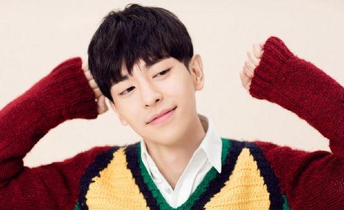 爱豆吃瓜娱乐酱邢昭林,从爱豆到吃瓜娱乐酱的华丽转身 第3张 爱豆吃瓜娱乐酱邢昭林,从爱豆到吃瓜娱乐酱的华丽转身 第3张