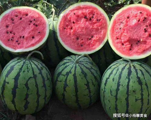 吃瓜官网免费观看,吃瓜官网带你开启无广告观影之旅 第3张 吃瓜官网免费观看,吃瓜官网带你开启无广告观影之旅 第3张