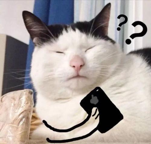 网红倦倦猫吃瓜,揭秘娱乐圈幕后真相 第2张 网红倦倦猫吃瓜,揭秘娱乐圈幕后真相 第2张