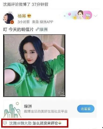 吃瓜娱乐圈网友评论 第3张 吃瓜娱乐圈网友评论 第3张