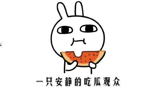 吃瓜意思,揭秘“吃瓜群众”背后的娱乐真相  第3张