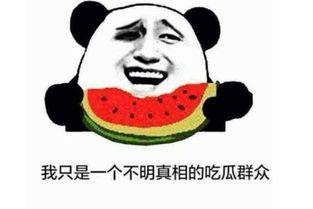 吃瓜表情是什么意思啊内涵,揭秘网络热词背后的趣味与内涵  第2张