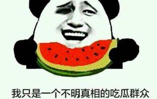 吃瓜群众是成语吗,揭秘网络热词背后的成语文化 第2张 吃瓜群众是成语吗,揭秘网络热词背后的成语文化 第2张