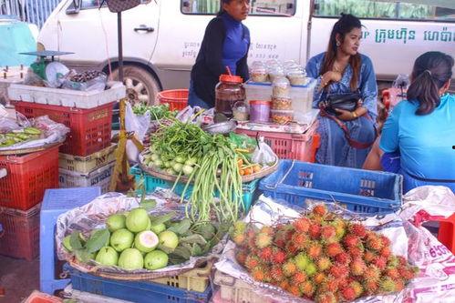 娱乐吃瓜酱柬埔寨骗局,娱乐吃瓜酱背后的真相  第2张
