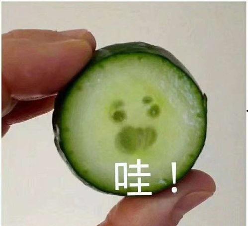 吃瓜表情包怎么回复女生微信,轻松回复女生微信，展现幽默魅力  第3张