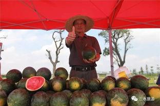 雪梨娱乐吃瓜  第1张