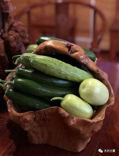 网红有什么瓜吃的好吃,揭秘那些让人垂涎欲滴的“瓜中珍品”  第2张