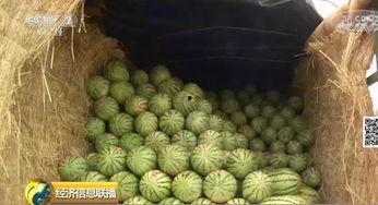 河南吃瓜网,揭秘河南美食背后的故事与风情  第3张