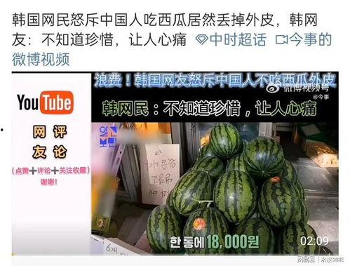 韩网吃瓜的网站,揭秘娱乐圈最新吃瓜事件幕后真相  第2张